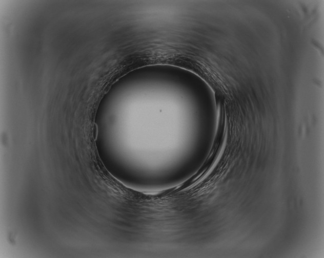 X0000091701153200708311047