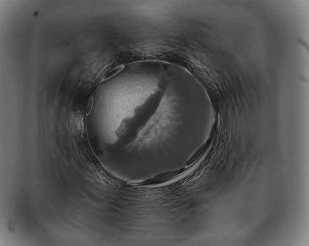 X0000091701155200708311047