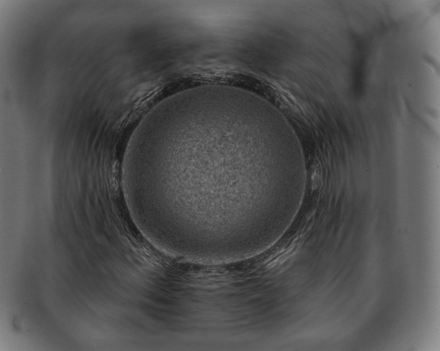 X0000091701156200708311047