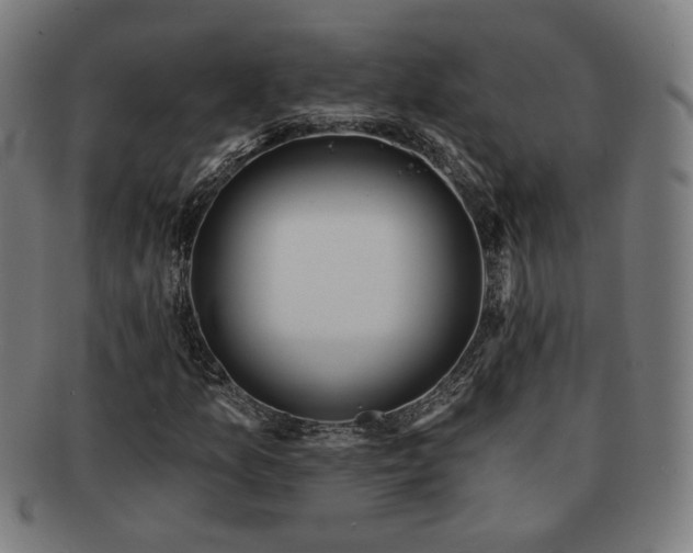 X0000091701157200708311047