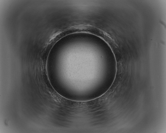 X0000091701158200708311047