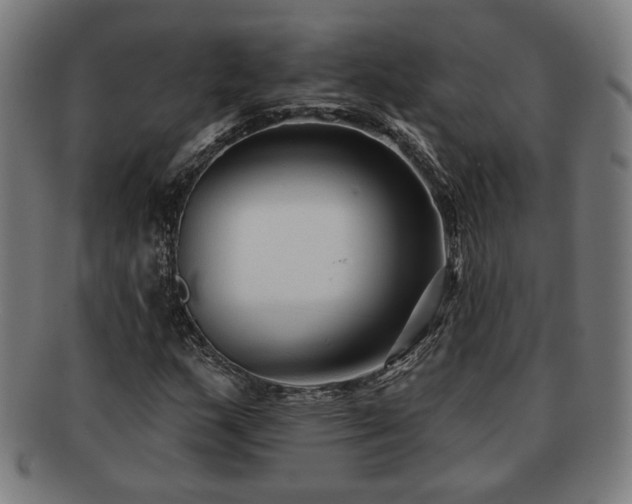 X0000091701159200708311047
