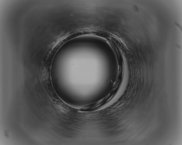 X0000091701160200708311047