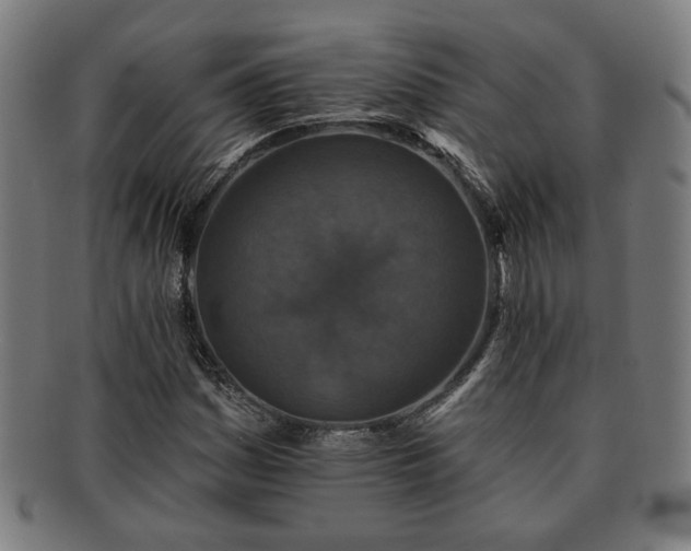 X0000091701161200708311047