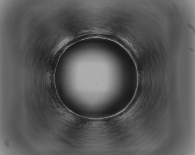 X0000091701163200708311047