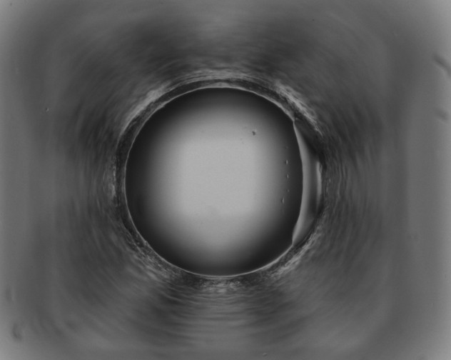 X0000091701165200708311047