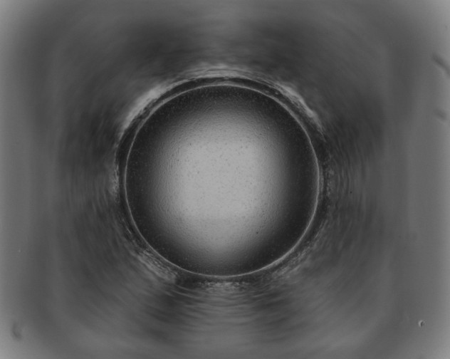 X0000091701167200708311047