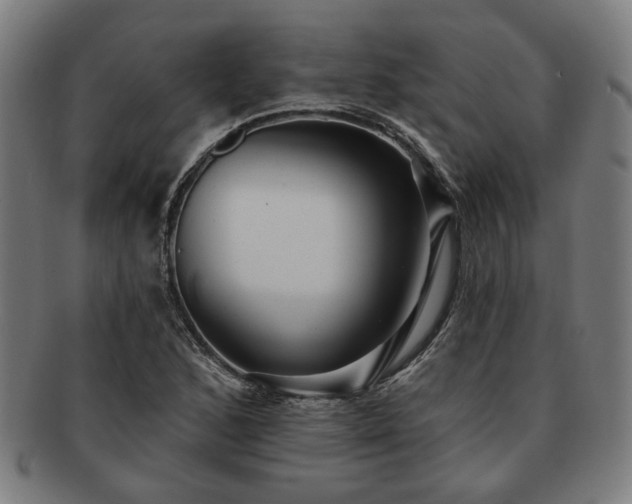 X0000091701168200708311047