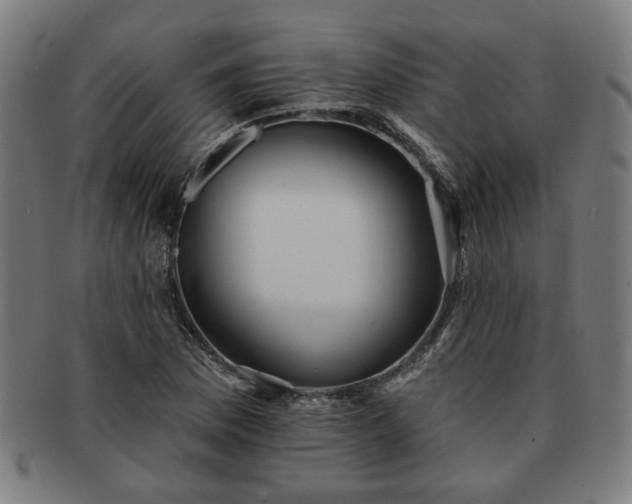 X0000091701169200708311047