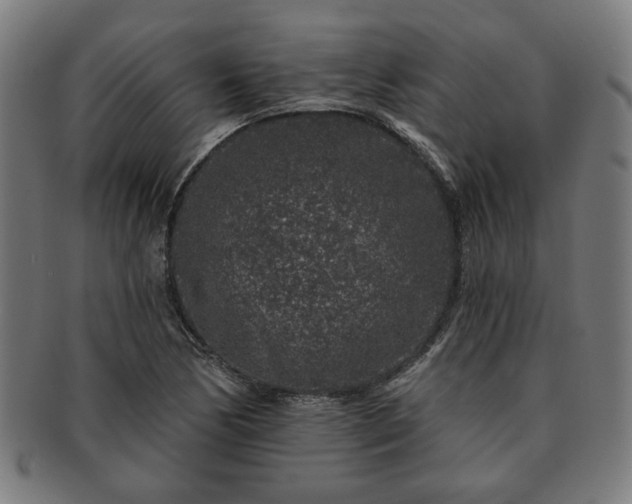 X0000091701170200708311046