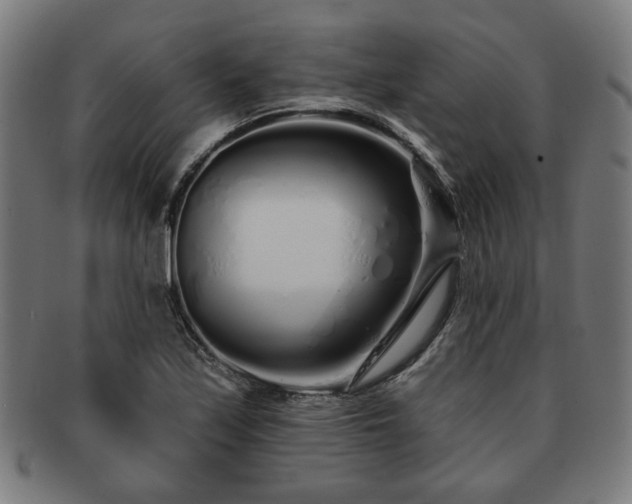 X0000091701171200708311046