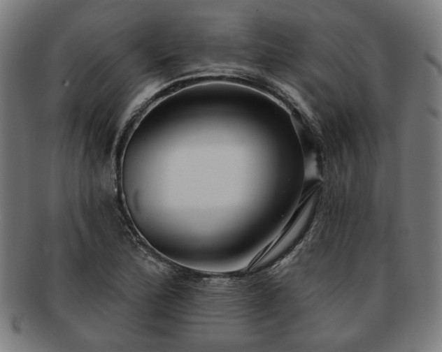 X0000091701172200708311046