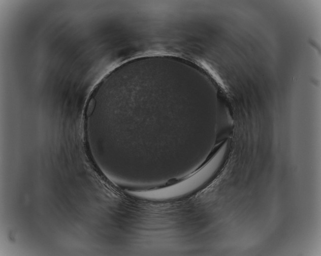 X0000091701173200708311046