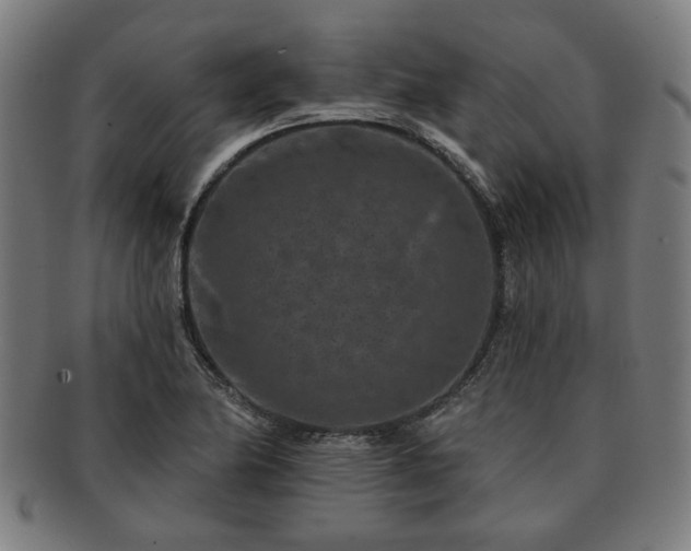 X0000091701174200708311046