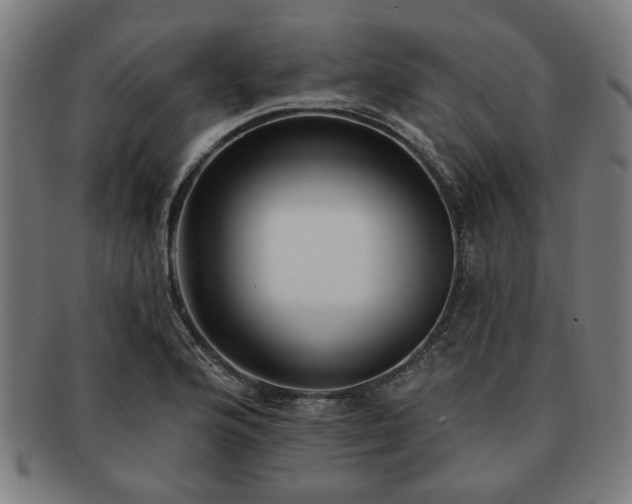 X0000091701176200708311046
