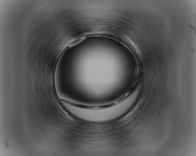 X0000091701177200708311046