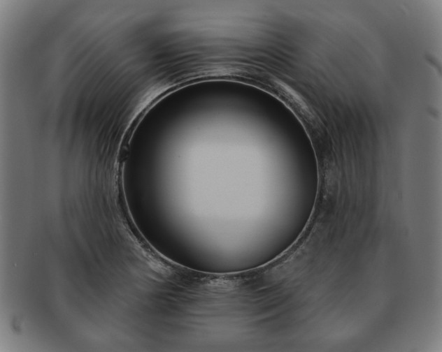X0000091701178200708311046