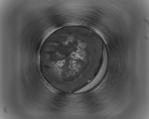 X0000091701179200708311046
