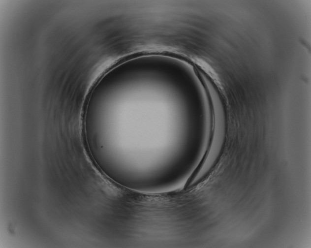 X0000091701183200708311046