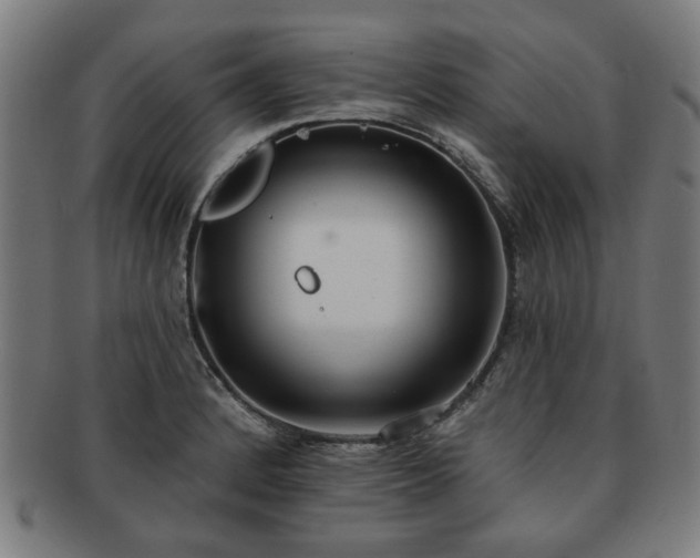 X0000091701184200708311046