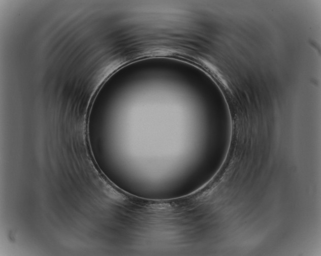X0000091701186200708311046