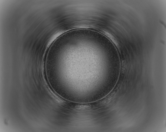X0000091701187200708311046