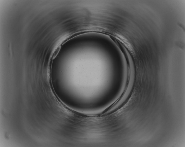 X0000091701188200708311046