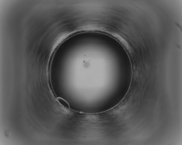 X0000091701191200708311046