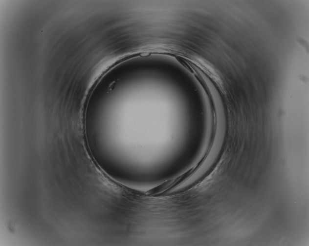 X0000091701192200708311046