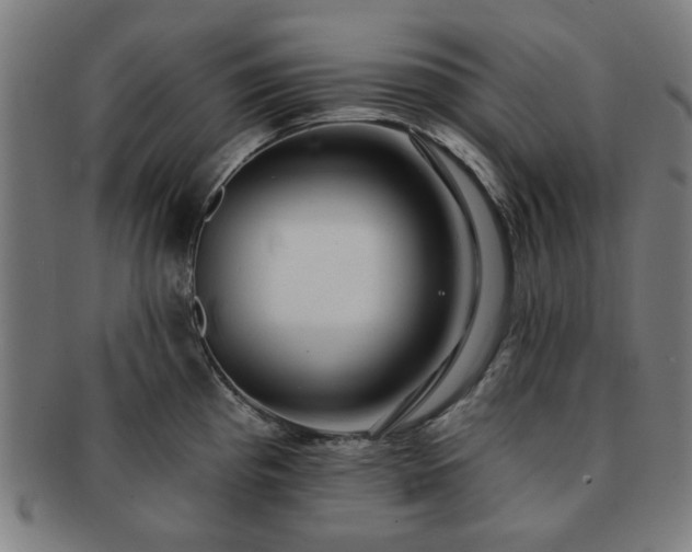 X0000091701193200708311046