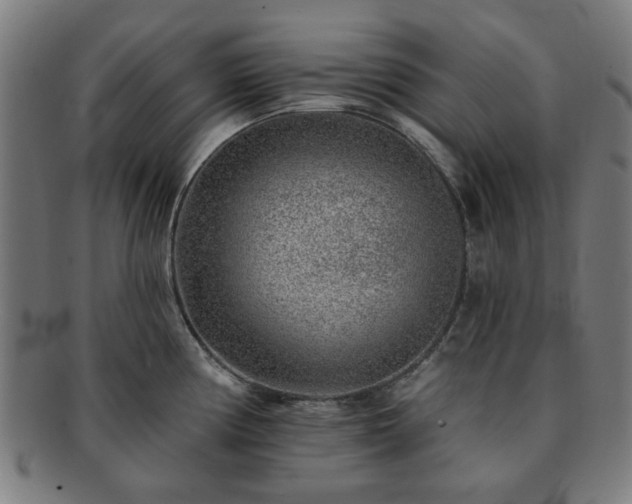 X0000091701194200708311046