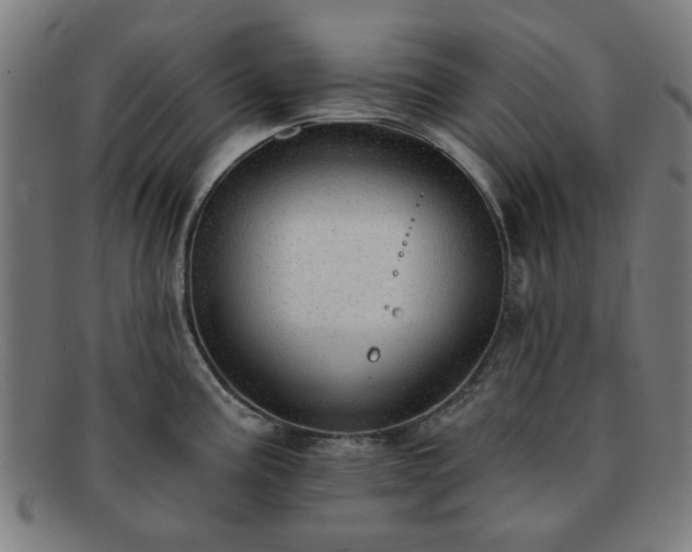 X0000091701195200708311046