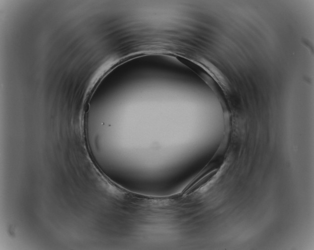 X0000091701196200708311046