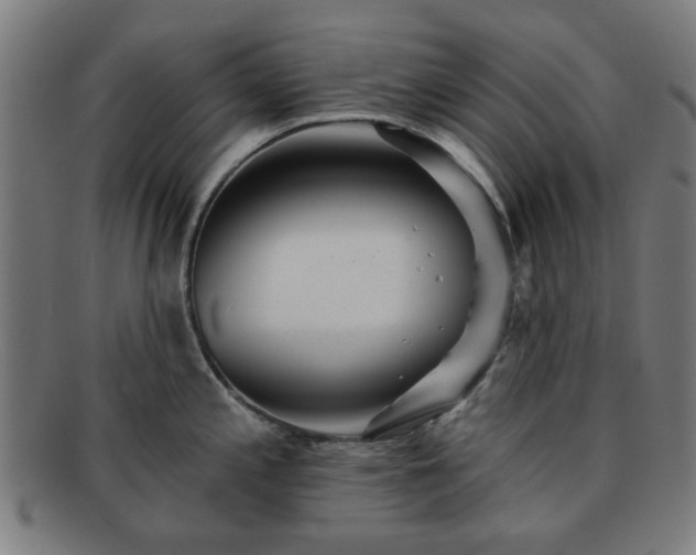 X0000091701197200708311046