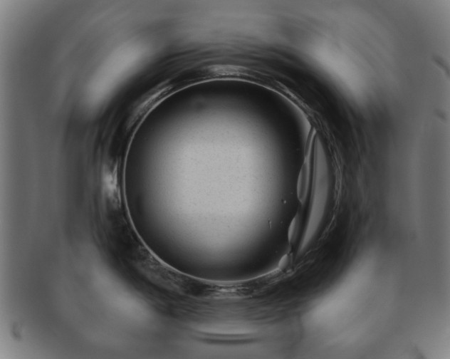 X0000091701198200708311046
