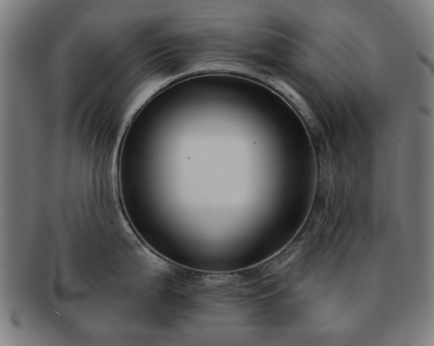 X0000091701199200708311046