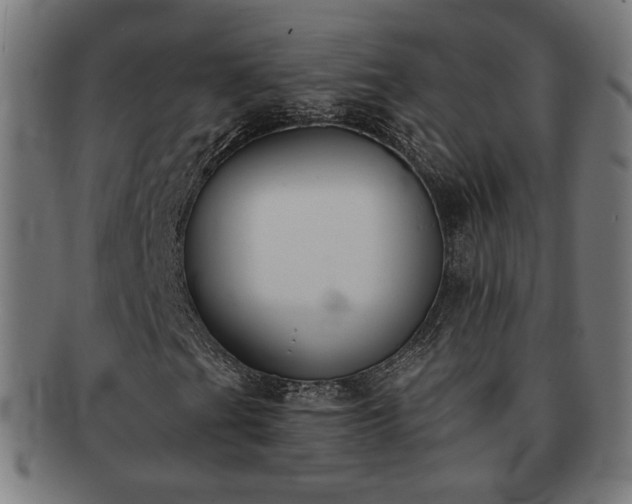 X0000091701201200708311045