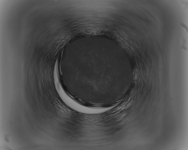 X0000091701202200708311045