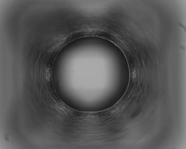 X0000091701204200708311045