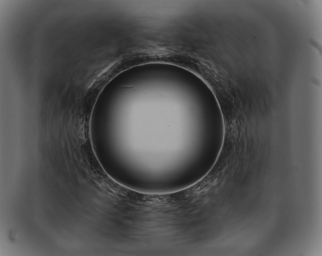 X0000091701205200708311045