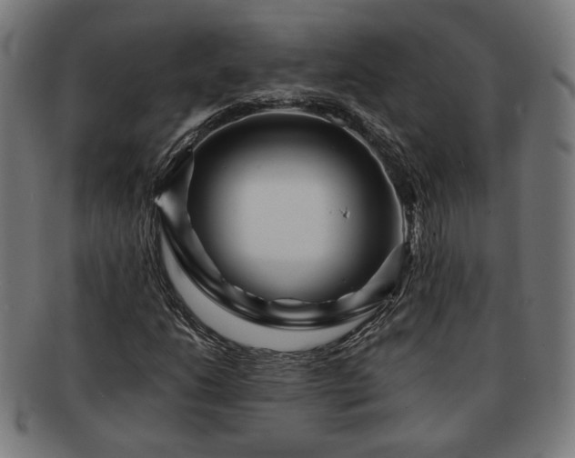 X0000091701206200708311045