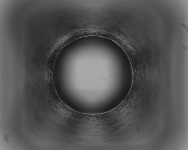 X0000091701207200708311045