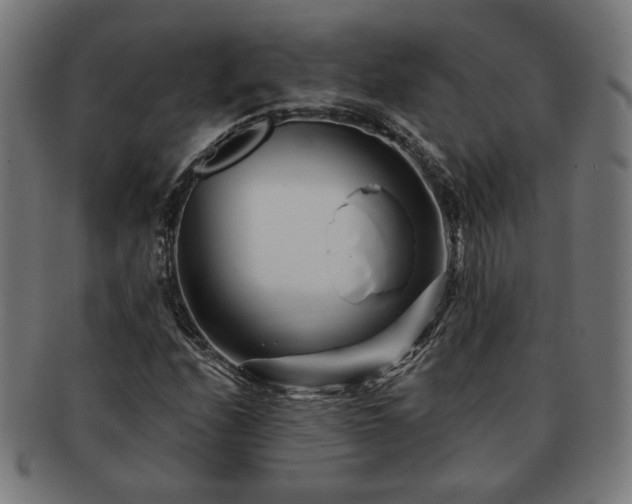 X0000091701208200708311046