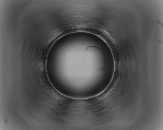 X0000091701209200708311046