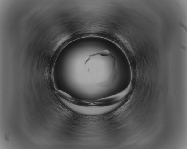X0000091701210200708311046