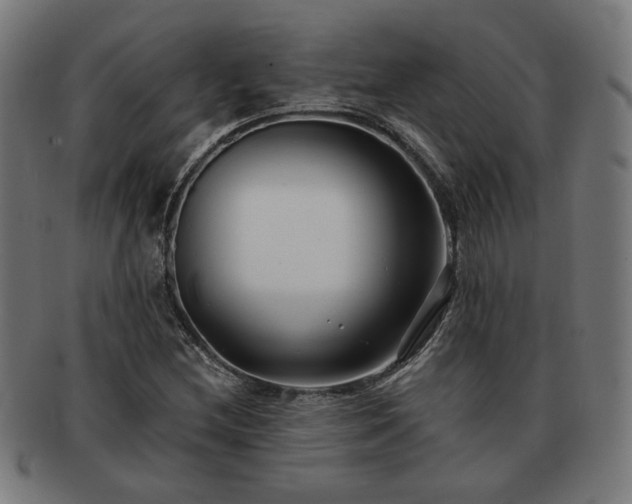 X0000091701212200708311046