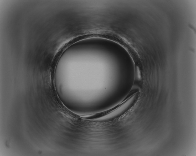 X0000091701214200708311046