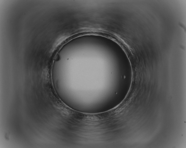 X0000091701215200708311046