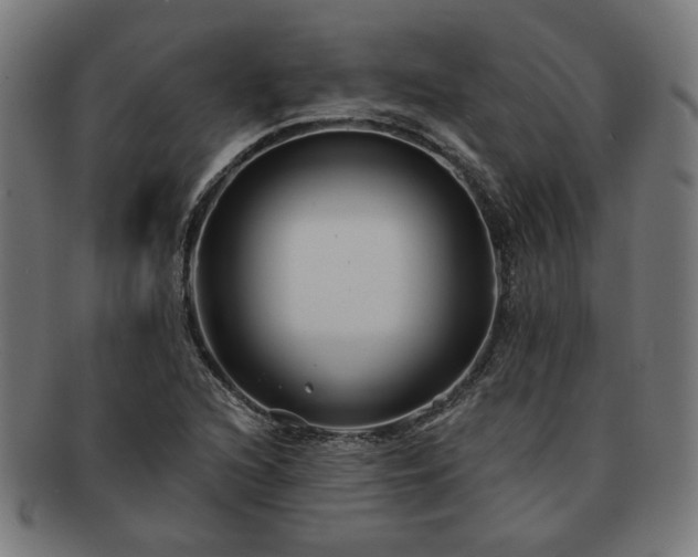 X0000091701216200708311046