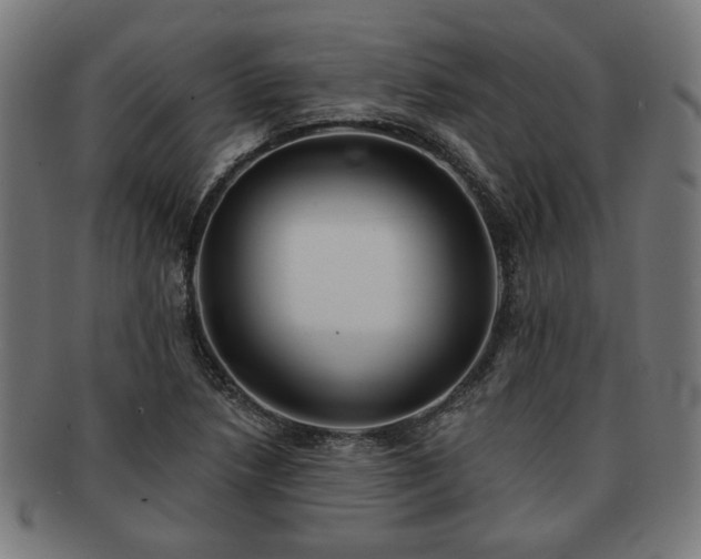 X0000091701218200708311046